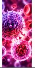 Respiratory Infections